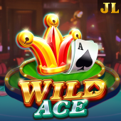 Wild Ace wowgames game